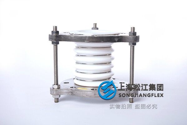 BGF-PTFE Type PTFE Corrugated Expansion Joint (4)